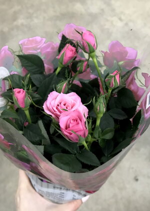 Роза кордана розовая ⌀10 30 см