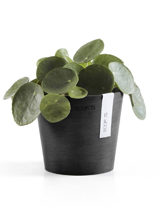 Кашпо Ecopots Amsterdam Mini антрацит 
