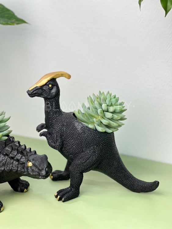 Динозавр с суккулентом 