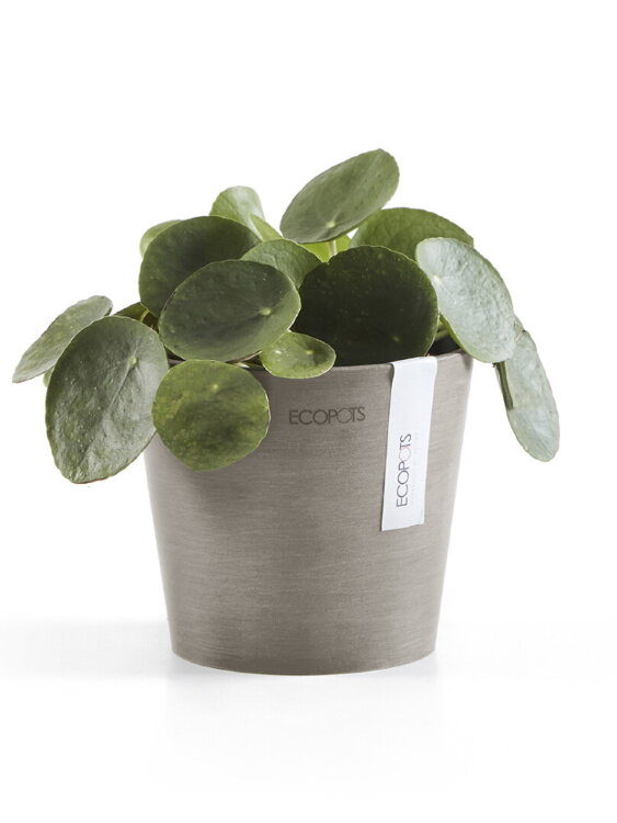 Кашпо Ecopots Amsterdam Mini серо-коричневое 