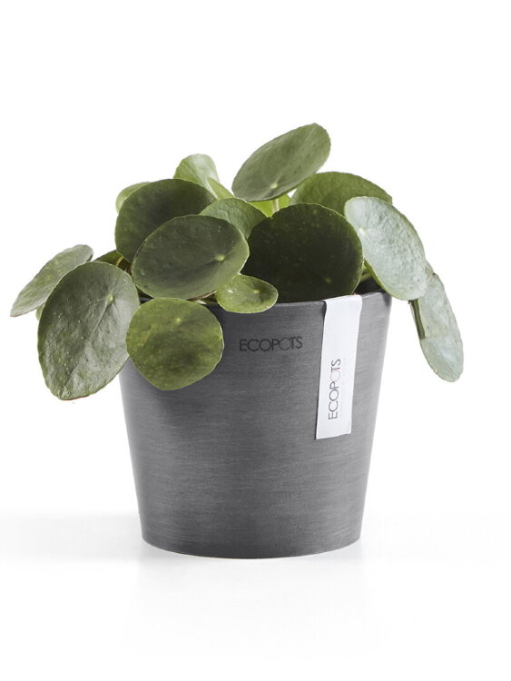 Кашпо Ecopots Amsterdam Mini серое 