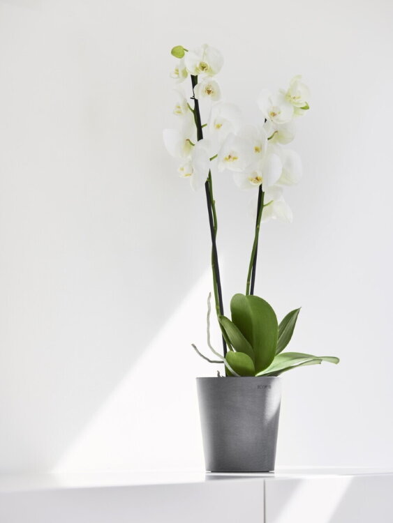 Кашпо Ecopots Morinda серое 