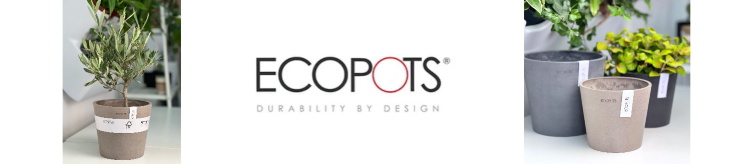 ECOPOTS | ЭКОПОТС кашпо для растений