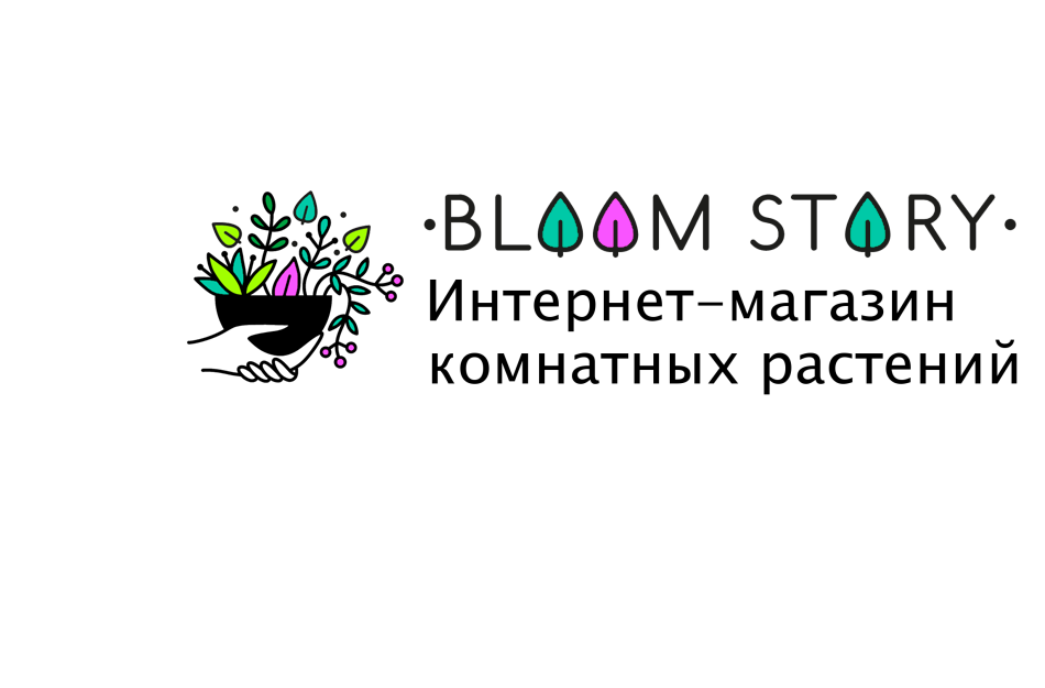 Bloom Story